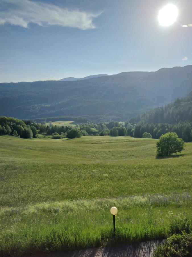 La Casa Di Grace Nella Valle Incantantata Carano  Dış mekan fotoğraf